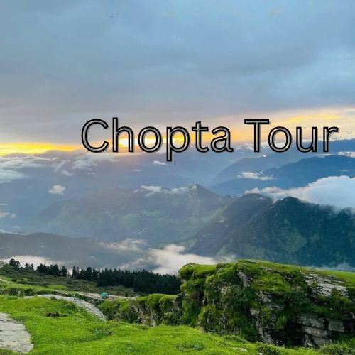 Chopta Tour from Delhi – Itinerary, Travel Time, and Cost Breakdown